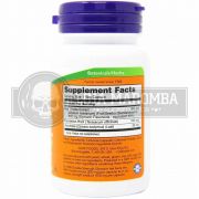 Silimarina (Milk Thistle) 300mg (50 cáps) - Now Foods (validade 04-24)