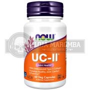 UC-II Colágeno Tipo 2 40mg (60 caps) - Now Foods